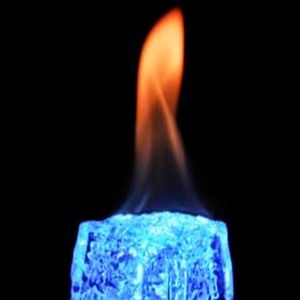 Meet your Posher, Charis